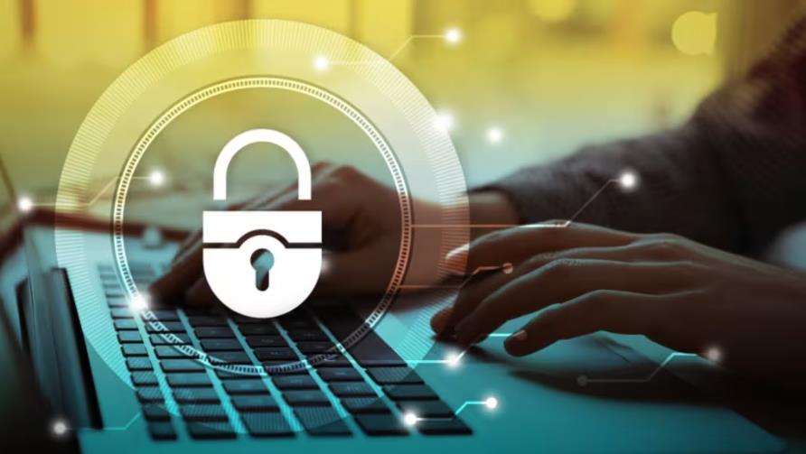 兴安县软件开发：这些策略适用于所有本地企业吗？